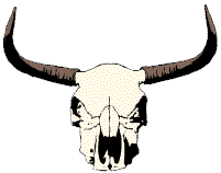 Randall Scott - Author - Rancher - Texas Storyteller