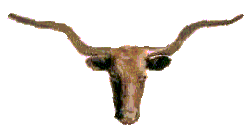 Randall Scott - Author - Rancher - Texas Storyteller